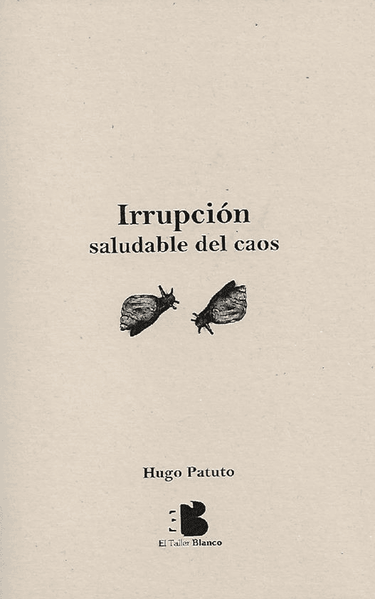 Tapa del libro Irrupción saludable del caos